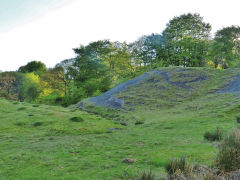 
Hafod Arthen Colliery tips, May 2013